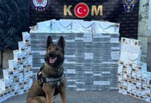 Photo of Yolcu otobüsünde zulalanmış halde 3 bin 400 paket kaçak sigara ele geçirildi