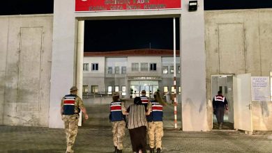 Photo of Erzincan’da yakalanan kadın suç makinesi çıktı