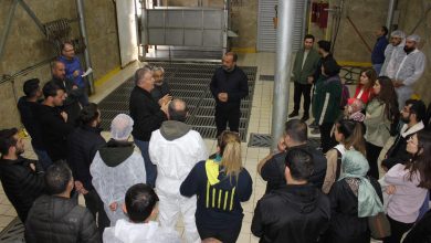 Photo of Erzincan’da Resmi Veteriner Hekimlik Eğitimi Veriliyor