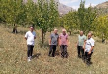 Photo of 19 Bin Ağacı Toprakla Buluşturdu