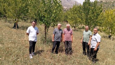 Photo of 19 Bin Ağacı Toprakla Buluşturdu