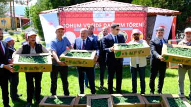 Photo of Çiftçiye destek sürüyor…