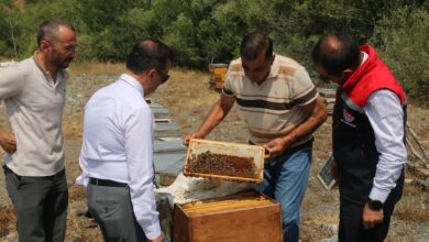 Photo of Geven Balı Hasadı
