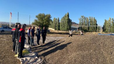 Photo of Çerezlik Ayçiçeği Hasadı Başladı