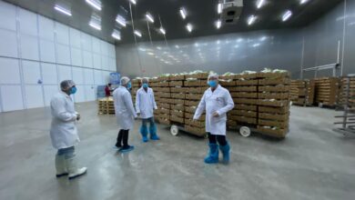 Photo of Tavuk Kombinasınde Denetim