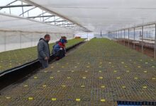 Photo of Fide üreticilerine teknik destek