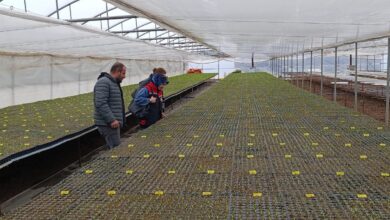 Photo of Fide üreticilerine teknik destek