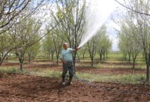 Photo of 1 Temmuz’da Yeni Uygulama Başlıyor