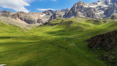 Photo of Sohmarik yaylası doğal güzelliği ile büyülüyor