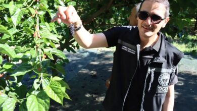 Photo of DUT ISLAHI ÇALIŞMALARI YERİNDE İNCELENDİ!
