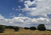 Photo of Kemaliye’de TAKE Projesi Meyvelerini Verdi