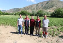 Photo of Erzincan’ın Tescilli Lezzeti “Işıl-24”