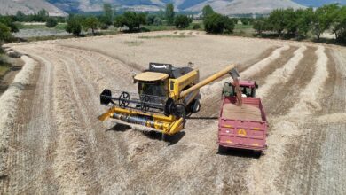 Photo of Erzincan’da Buğday Hasadı Bereketi: Altınbaşak Beldesi’nde Biçerdöver Denetimi Yapıldı