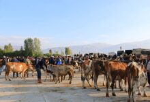 Photo of Aşı Kampanyası Hız Kesmiyor