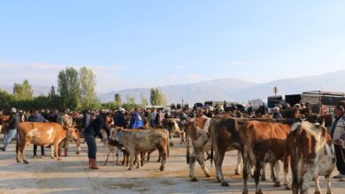 Photo of Aşı Kampanyası Hız Kesmiyor